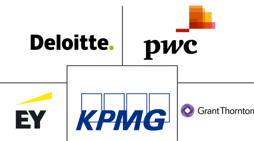 Europe Auditing Services Market Major Players
